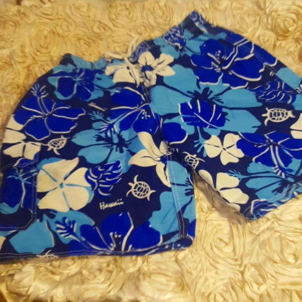 Steven Wear Mens Board Shorts - Hawaii Design Sz XL